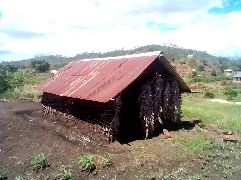 탄자니아 썸네일
