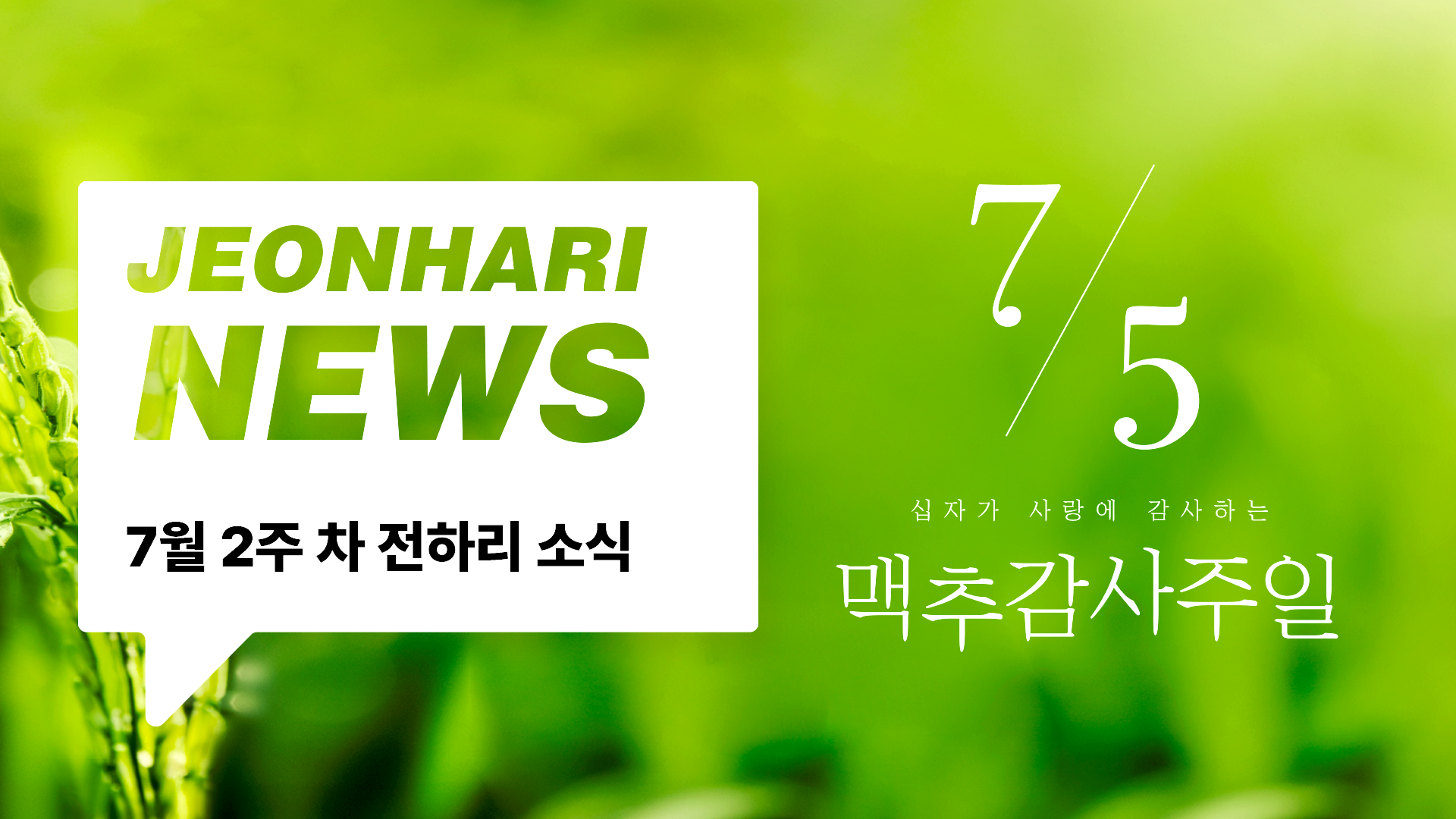 7월 2주차 JBS NEWS