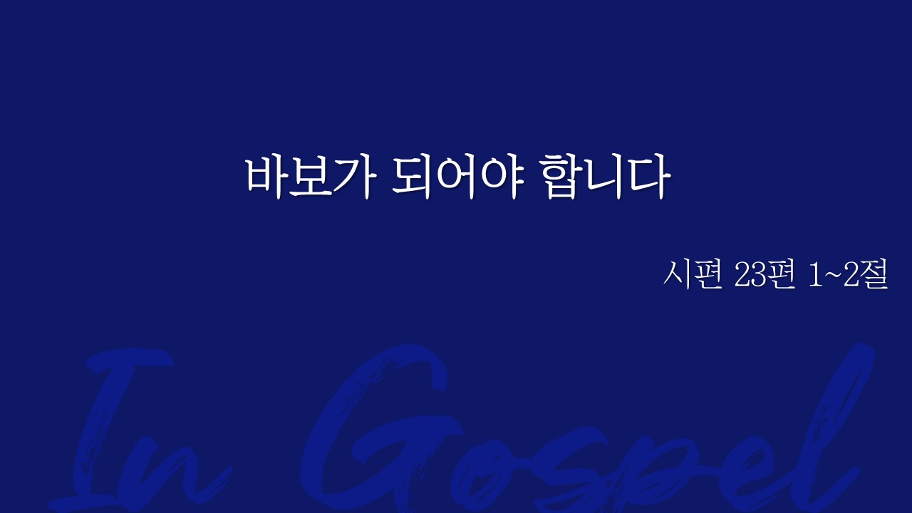 바보가 되어야 합니다 썸네일